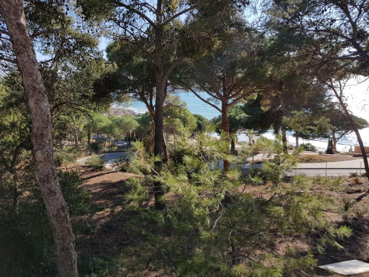 Apartment Atalaya Салоу Екстериор снимка